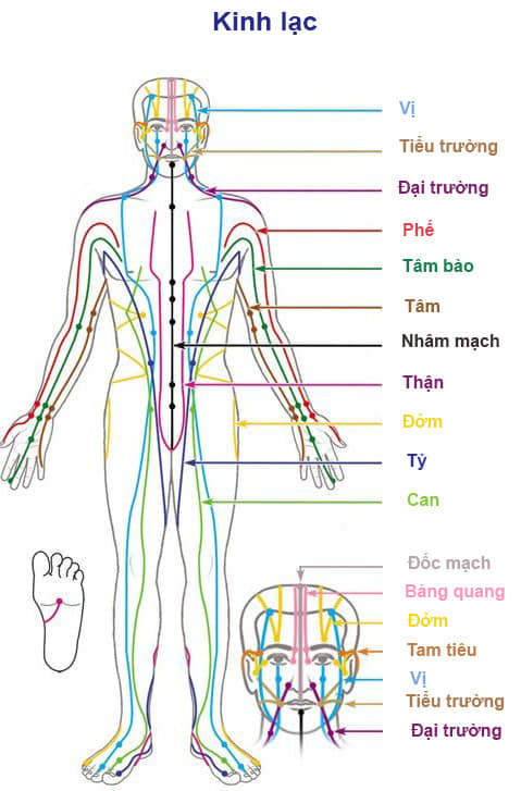 1626896826 50 Chia se tranh ve 12 duong kinh cac co chu