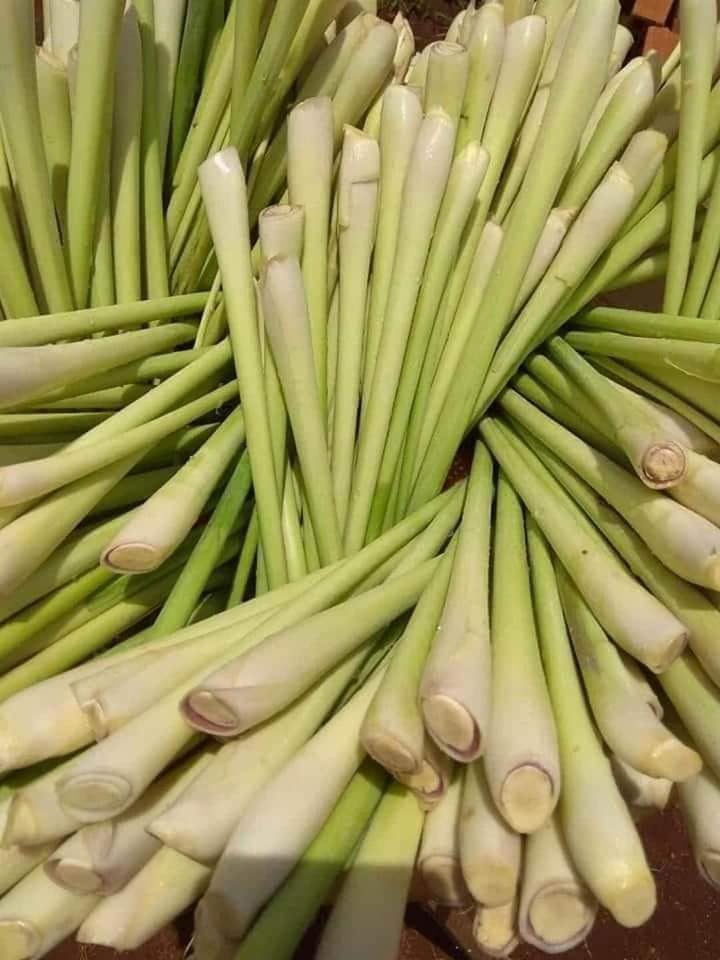 1627100286 520 Cach Phong Chong Virus Corona Ngoai thuc hien 5K cua