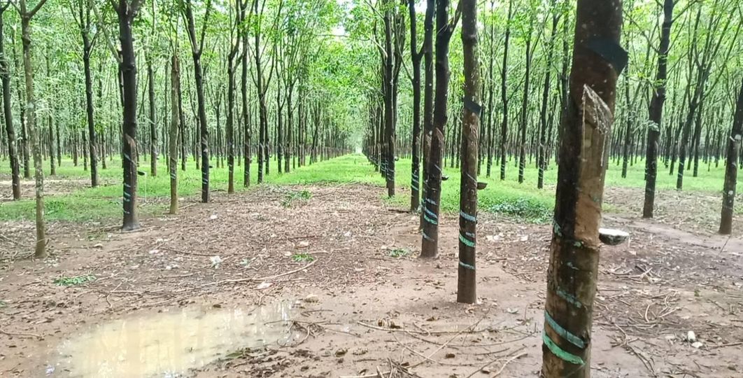 Các bác ơi giúp em. E bị cái đ gì mà ăn vào khó tiêu vl lại cộng thêm bị táo bón nữa. Mn thì bảo e bị tụt men tiêu hóa, 3 Cac bac oi giup em E bi cai d gi