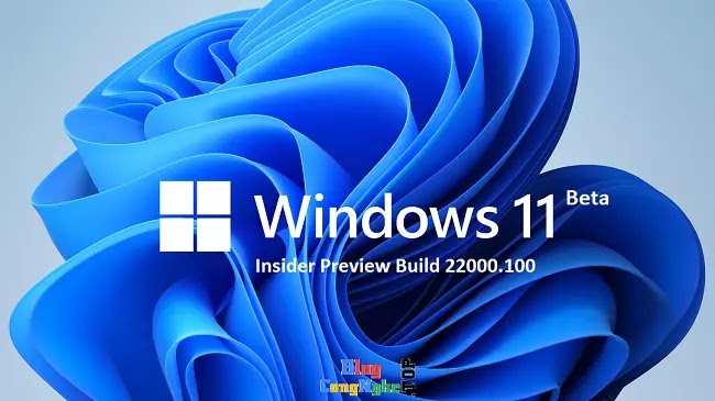 windows 11 insider iso download