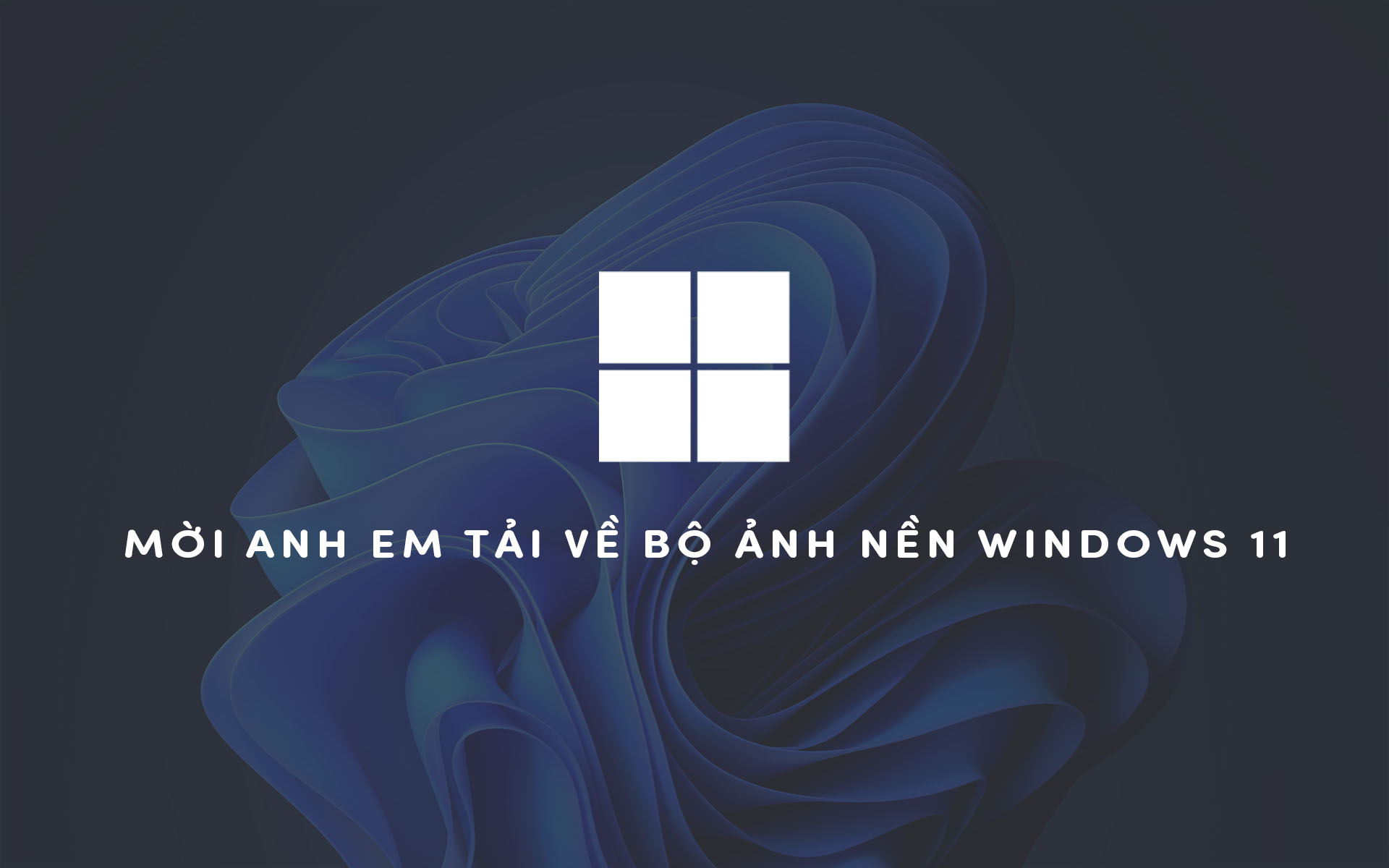 Moi Anh Em Tai Ve Bo Anh Nen Windows 11
