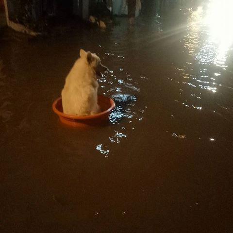 Thảo Luận truyện chữ Ma Vương đại nhân cho dù biến thân cũng muốn báo thù nha  Novel Online