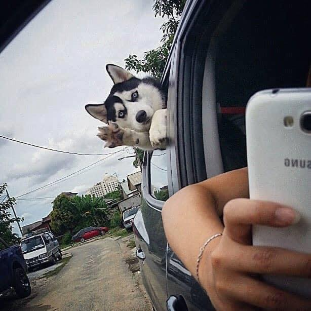 Gốc đánh giá truyện chữ Giải trí: Nãi ba thân phận, bị đỉnh lưu lão bà cho hấp thụ ánh sáng Novel Online