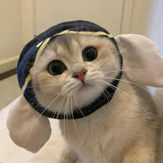 Review truyện tranh Thanh Xuân Rực Rỡ Online