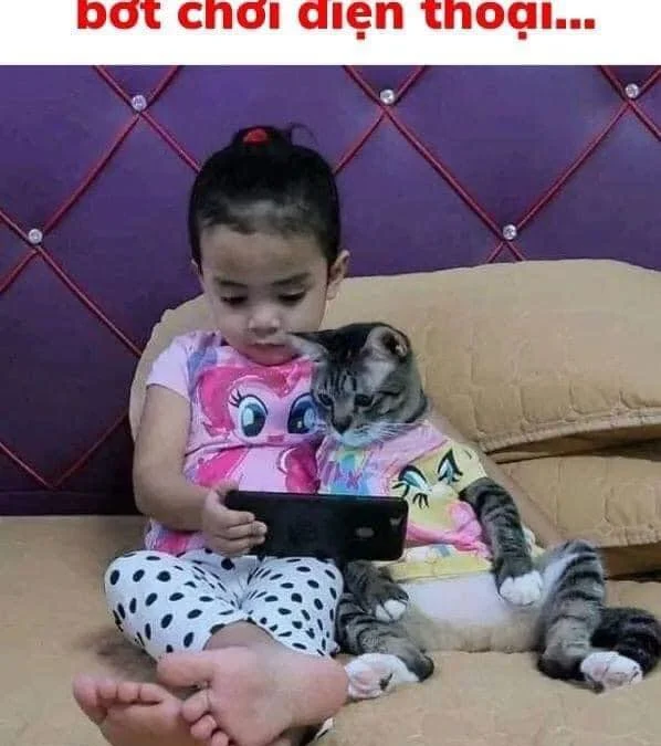 Thảo Luận truyện chữ Cá chậu chim lồng sẽ mơ thấy con bướm sao? Novel Online