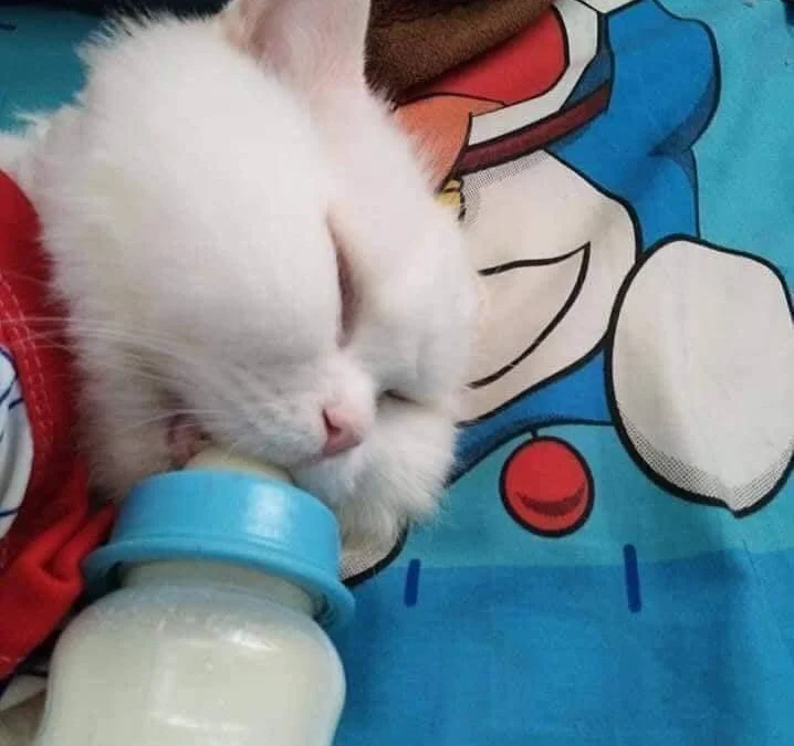 Ai Tóm tắt giúp truyện chữ Nhà ta máy tính thành tinh Novel Online