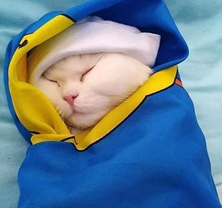 Review truyện tranh Trọng Sinh Ta Là Đại Thiên Thần Online