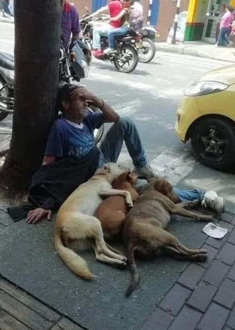 Gốc đánh giá truyện tranh Kiếp Sau Thà Lấy Thằng Khác Online