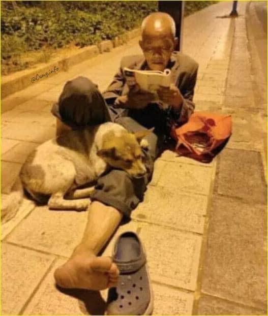 Thảo Luận truyện chữ Cố chấp lão công tại tuyến liêu nhân  Novel Online