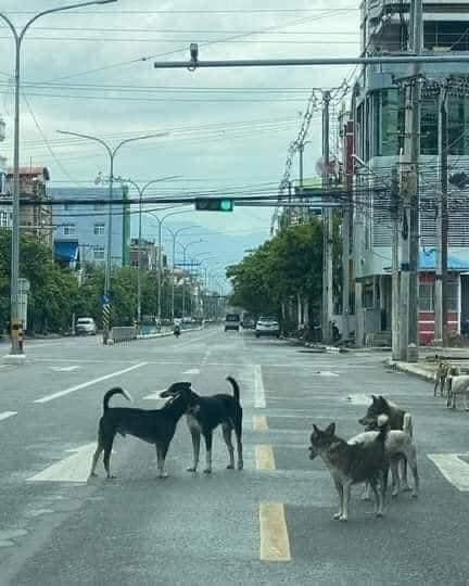 Thảo Luận truyện tranh 3362 Online