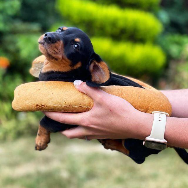 Gốc đánh giá truyện tranh 3363 Online