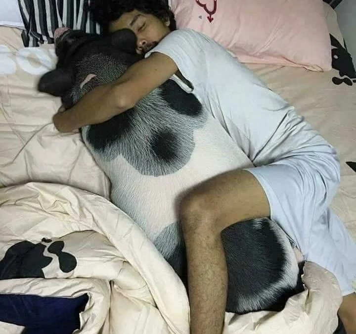 Gốc đánh giá truyện tranh Chiến Thần Dưỡng Thành Kí Online