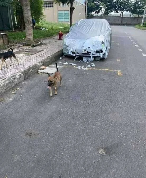 Review truyện tranh Khắc Kim Thành Tiên Online