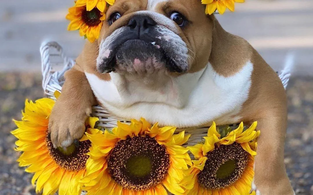 Gốc đánh giá truyện chữ Marvel chi mạnh nhất nọc độc Novel Online