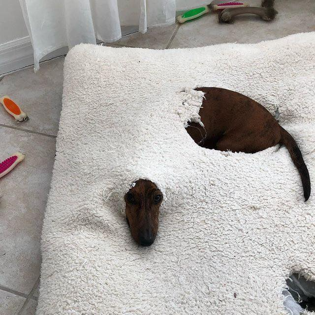 Gốc đánh giá truyện chữ Trong truyền thuyết tiểu tai tinh Novel Online