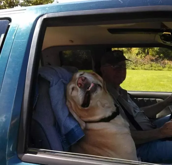 Review truyện tranh Yugi-Oh-R!! Online