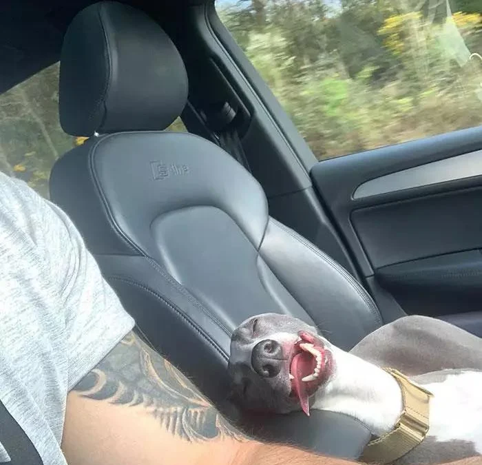 Ai Tóm tắt giúp truyện chữ Khai cục bị hệ thống lừa mười vạn năm Novel Online