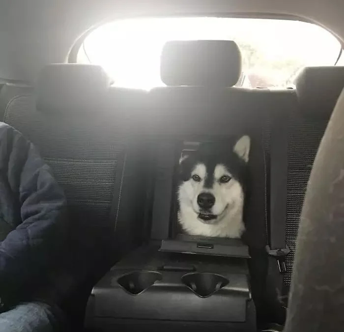 Gốc đánh giá truyện tranh Trở Thành Tiểu Thư Xấu Xí Online