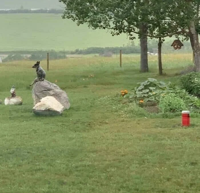 Gốc đánh giá truyện tranh Kimi wa Meido-sama Online