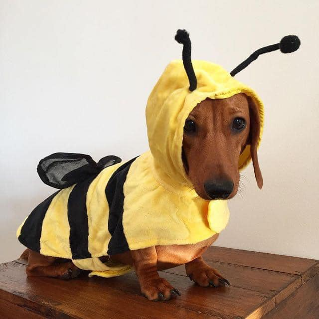 Gốc đánh giá truyện chữ [ABO] Mộng tưởng hão huyền tỉnh Novel Online