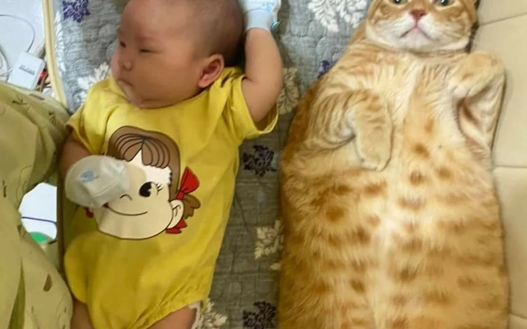 Thảo Luận truyện tranh Anh Ấy Sinh Ra Đã Là Công Của Tôi Online