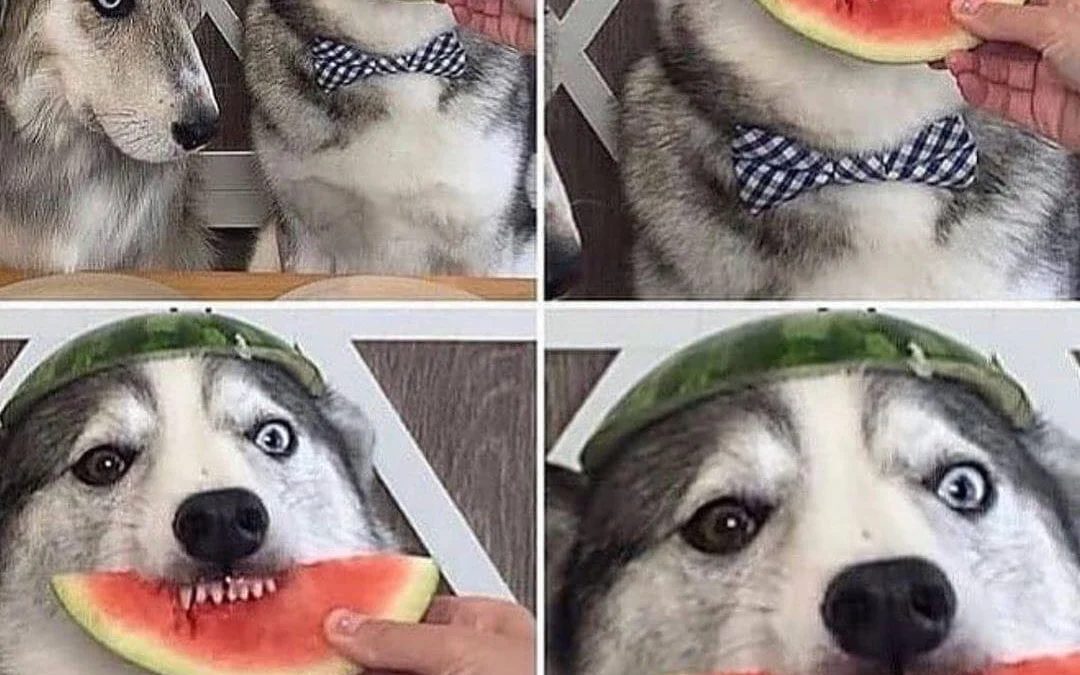 Review về  truyện chữ Giết chết nhà ấm hoa  Novel Online