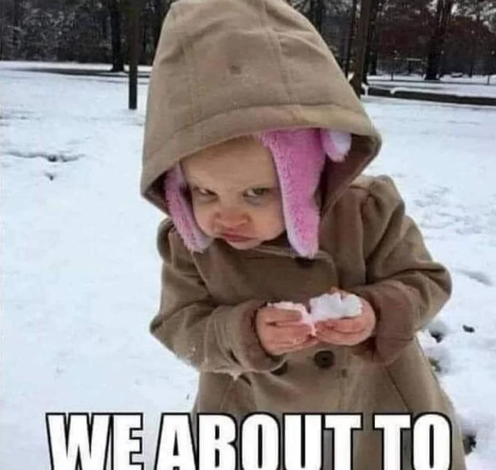 Ai Tóm tắt giúp truyện chữ Đạp tuyết mà đến không gì chặn được  Novel Online