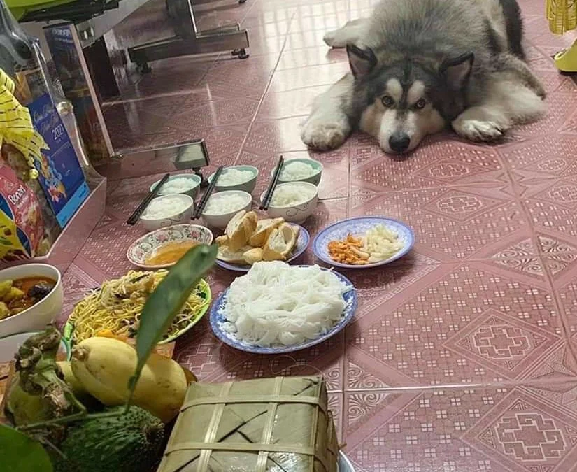 Gốc đánh giá truyện tranh Hôm Nay Từ Chối Lục Tiên Sinh Chưa? Online