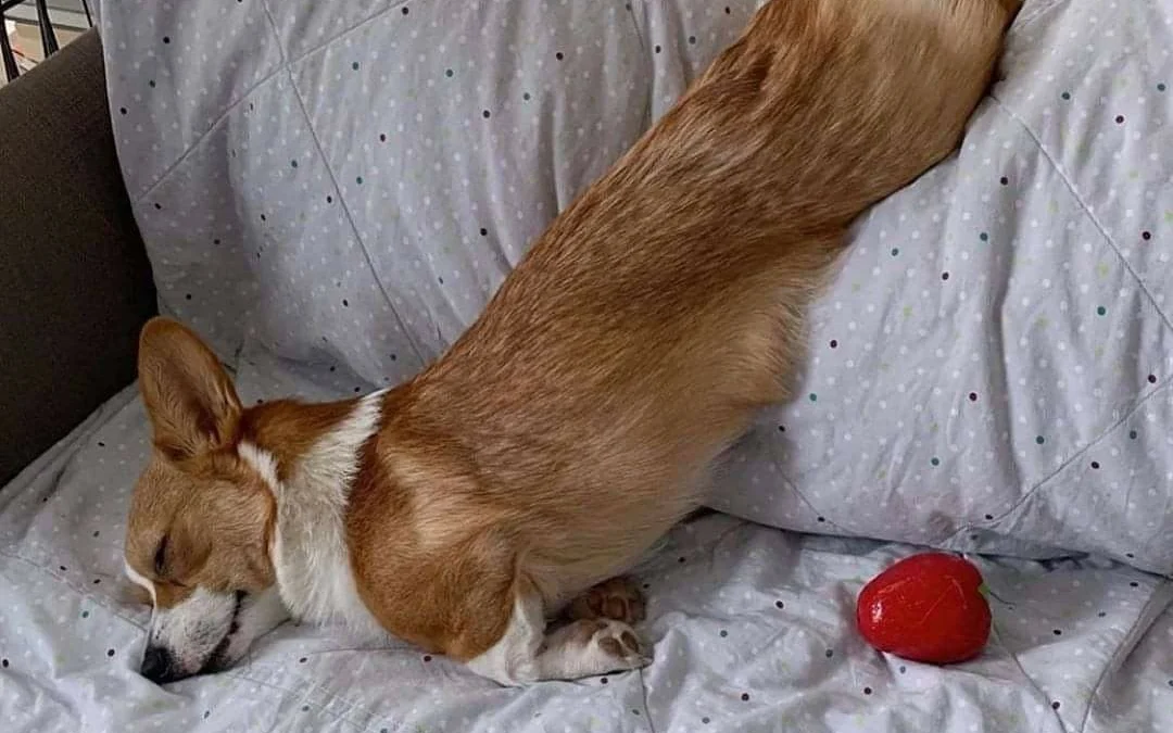 Gốc đánh giá truyện tranh 3391 Online