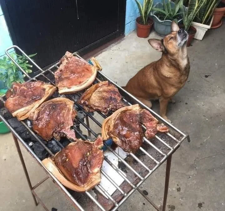 Tóm tắt truyện chữ Nguyên sơ âm dương quyết Novel Online