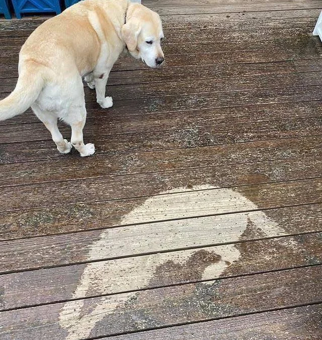 Ai Tóm tắt giúp truyện chữ Từ trúc mã đến trời giáng Novel Online