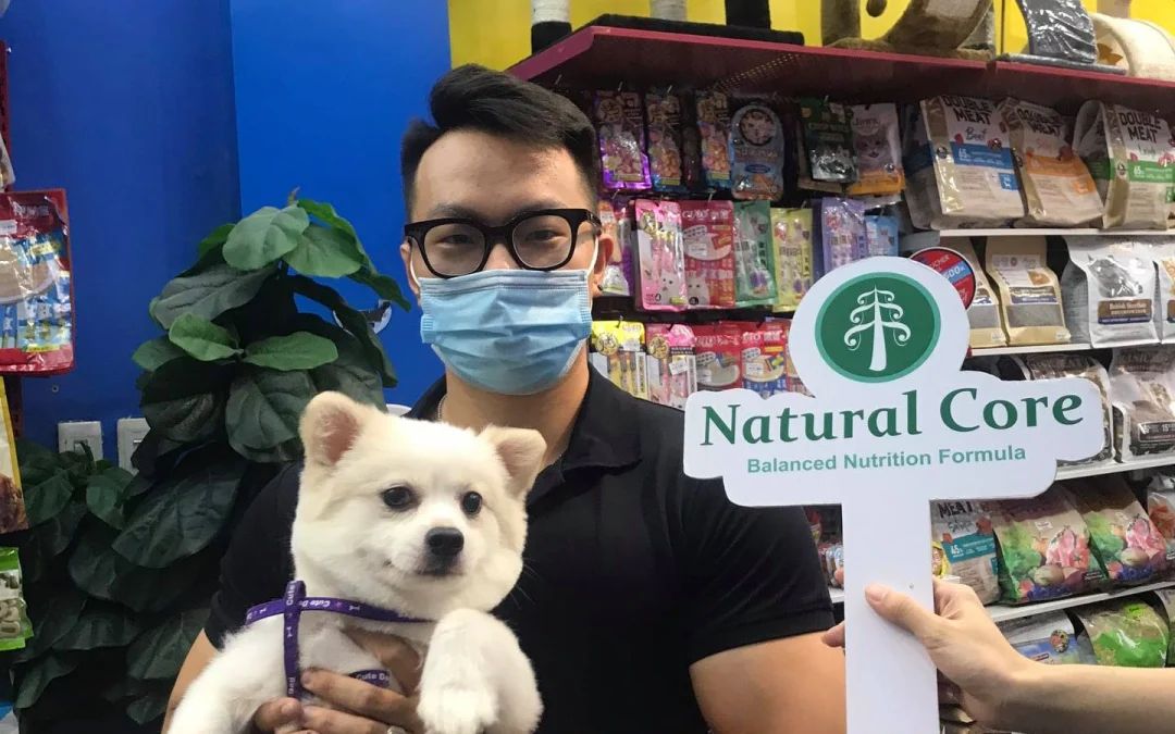 Thảo Luận truyện chữ (Tu Đế) Ta kia không thỉnh tự đến bạn trai giống như không phải người a Novel Online