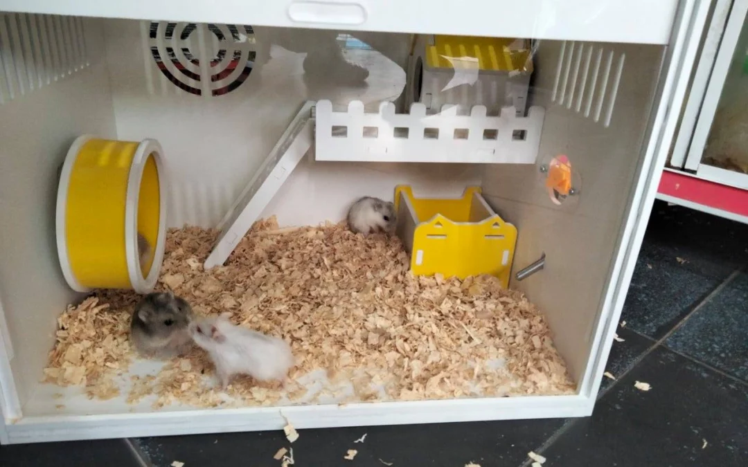 Thảo Luận truyện chữ Người ở trong sách: Khai cục trói định tào tặc hệ thống  Novel Online