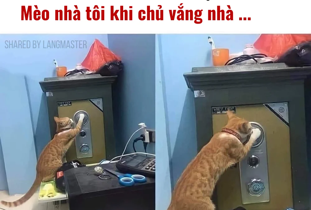 Gốc đánh giá truyện chữ Thiên sủng tiểu liêu tinh: Gia, ngoan ngoãn sủng ta!  Novel Online