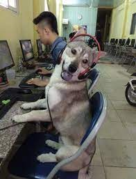 Thảo Luận truyện tranh Sự Trở Lại Của Anh Hùng Cấp Thảm Họa Online