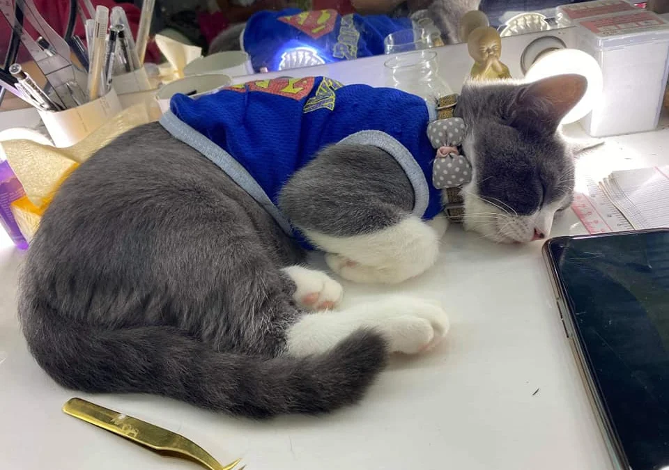 Gốc đánh giá truyện tranh Võ Lăng Cửu Thiên Online