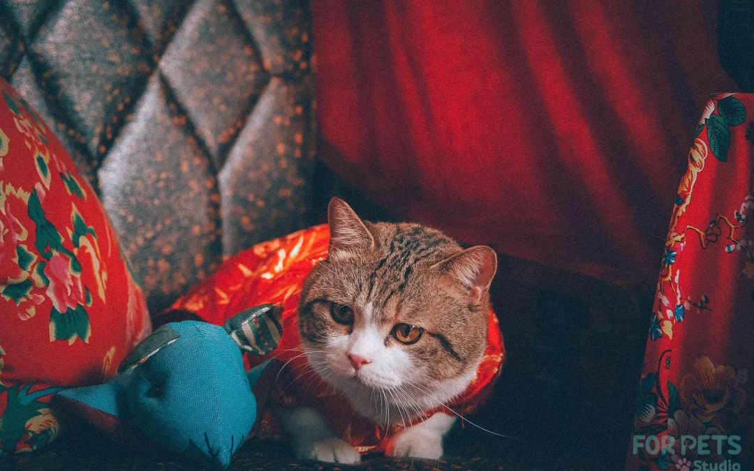 Thảo Luận truyện tranh Bắt Đầu Quật Khởi Từ Làm Lô Đỉnh Online