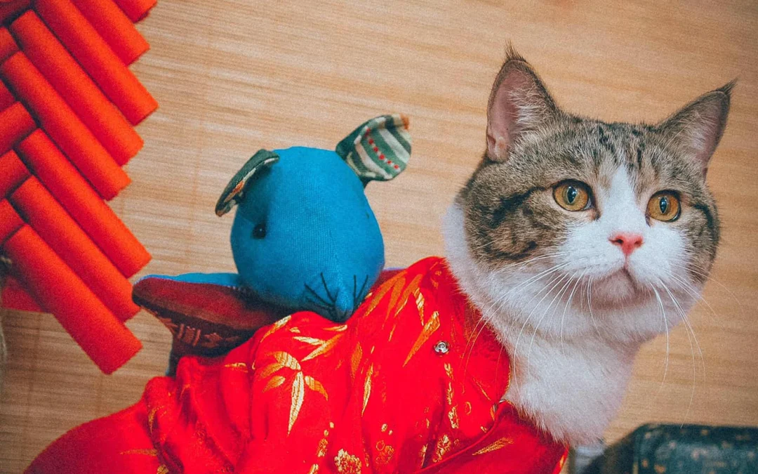 Review truyện tranh Trùng Sinh Chi Đô Thị Cuồng Tiên Online