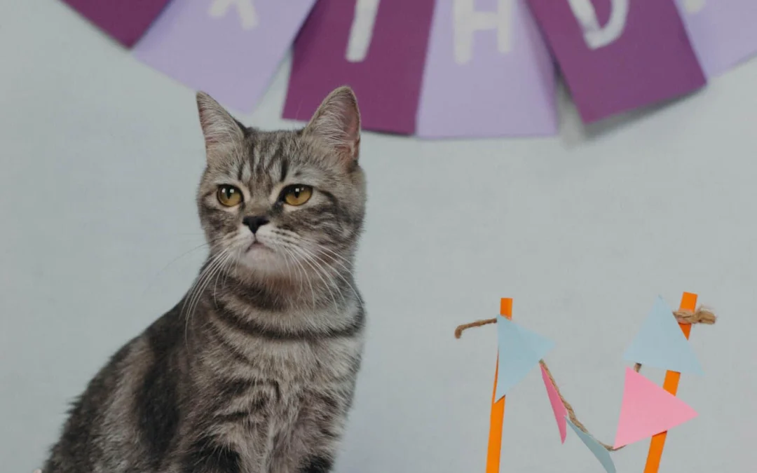 Thảo Luận truyện tranh Kinh Dị Không Lời Online