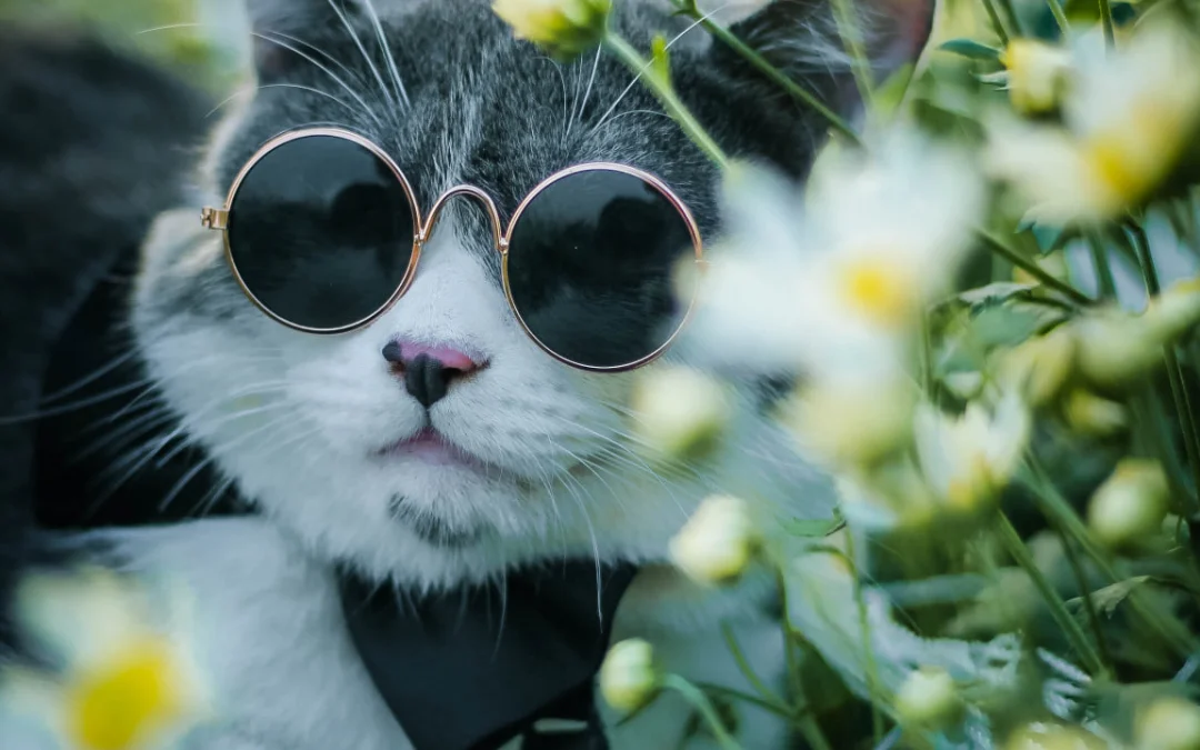 Tóm tắt truyện chữ Hiệp không lưu hành Novel Online