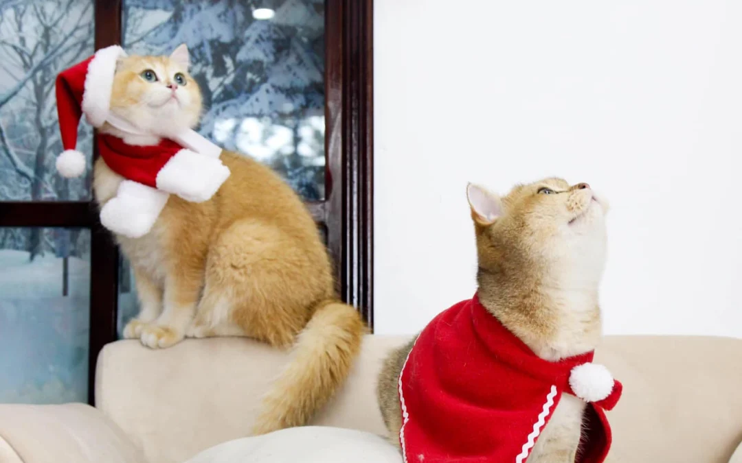 Review truyện tranh 3371 Online