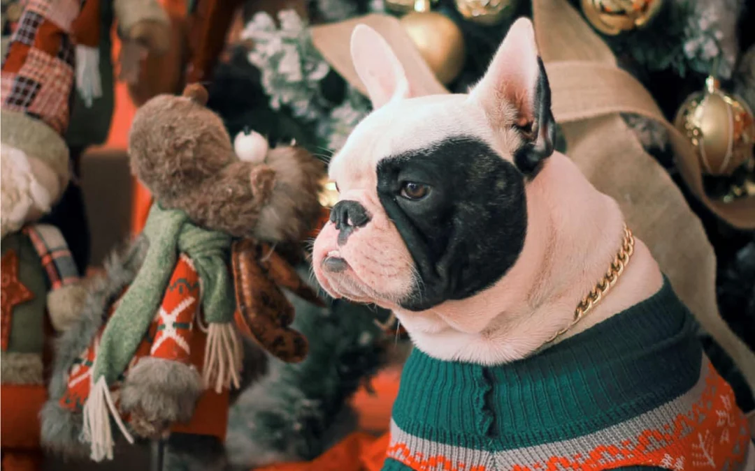 Gốc đánh giá truyện tranh Hỗn Độn Đan Thần Online