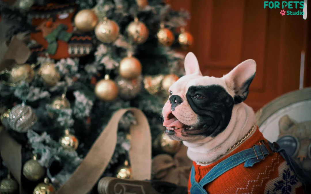 Thảo Luận truyện tranh Mint Chocolate Online