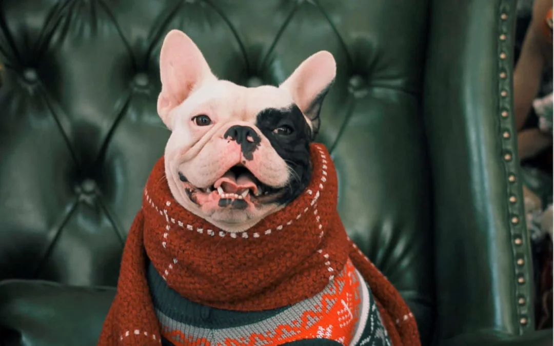 Review truyện tranh Nhất Kiếm Sương Hàn Online