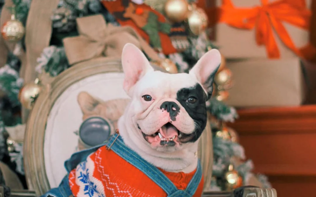 Thảo Luận truyện tranh 3379 Online