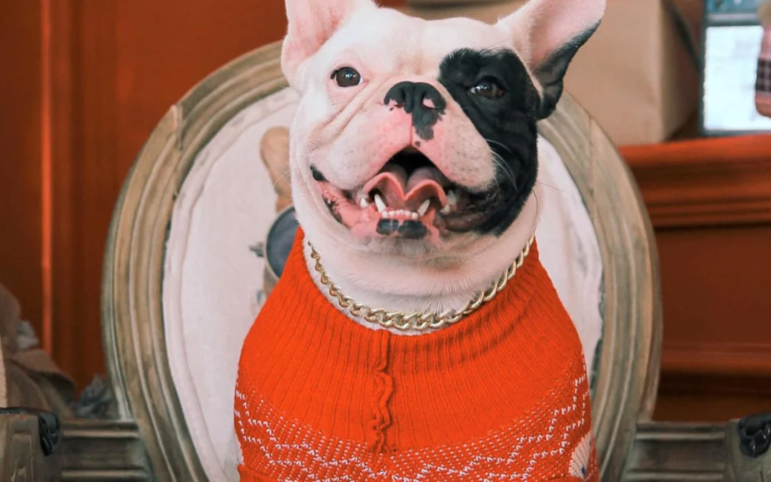 Ai Tóm tắt giúp truyện chữ Thu nhỏ sau, Ma Tôn cùng yêu tôn song song OOC  Novel Online