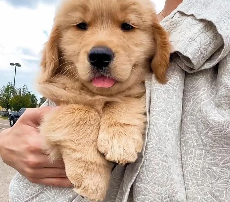 Thảo Luận truyện chữ  Luôn có ma vật muốn bắt ta   Novel Online