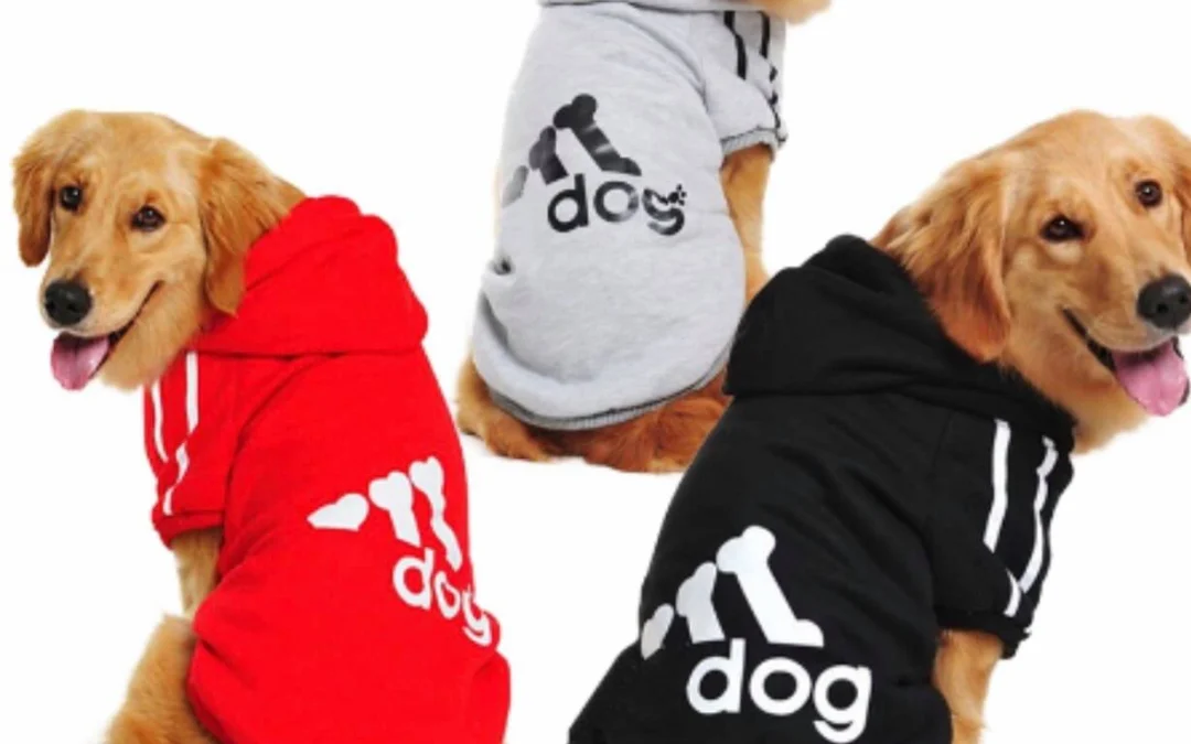 Gốc đánh giá truyện tranh Sân Cỏ Chiến Kí Online