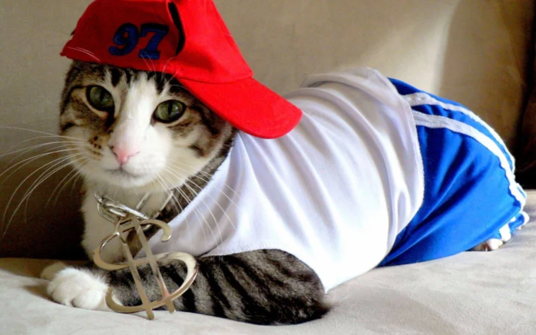 Review về  truyện chữ Nhà ta Vương phi là đại lão Novel Online