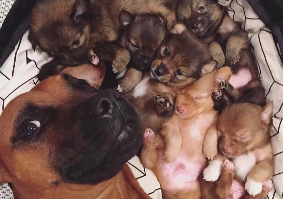 Ai Tóm tắt giúp truyện chữ Trói định toàn dân phòng trá hệ thống sau [ giới giải trí ] Novel Online